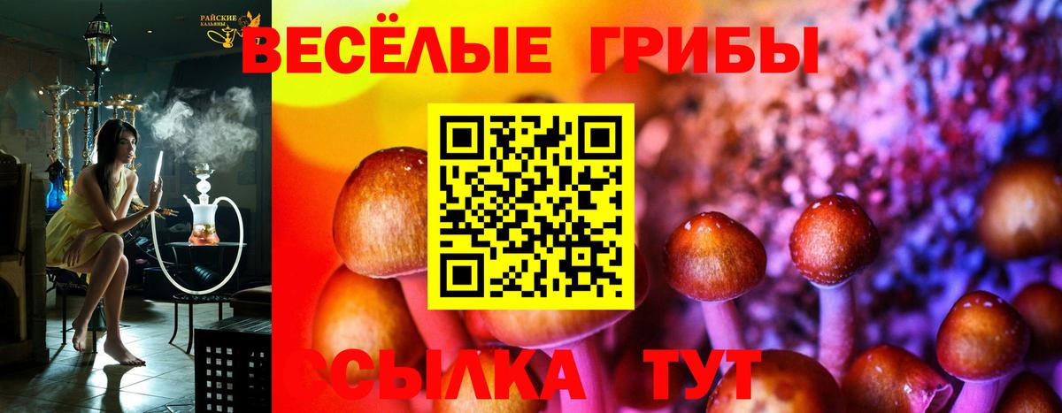 Псилоцибиновые грибы прущие грибы  Вход с VPN  Лениногорск 